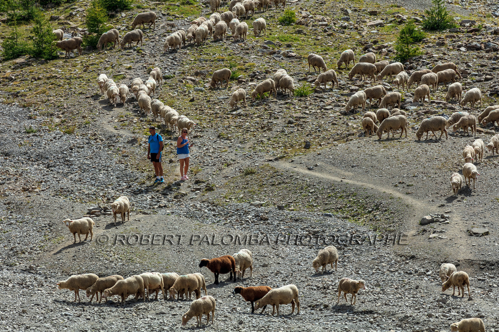 Lac d'Allos