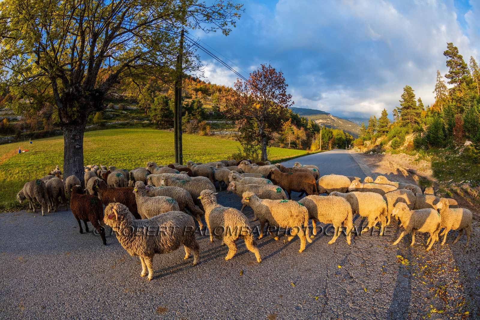 La Colle Saint-Michel