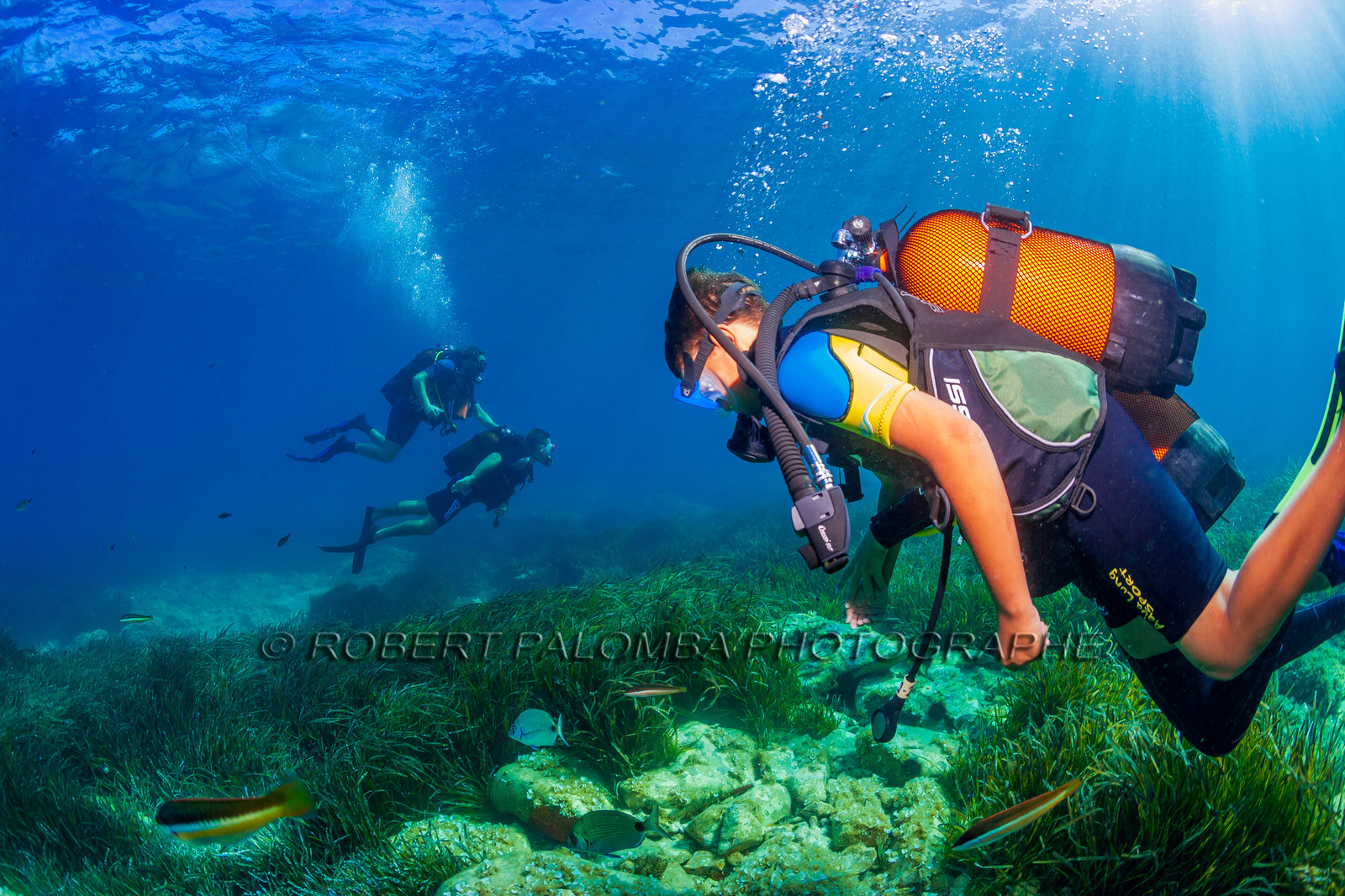 Plongée-sous-marine