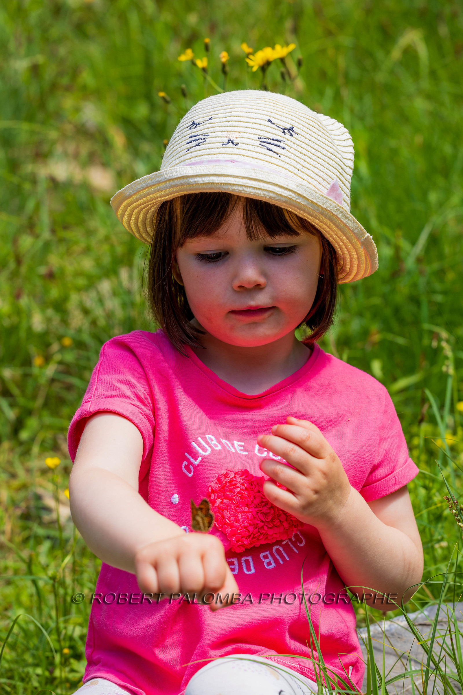 Cascade du Chadoulin