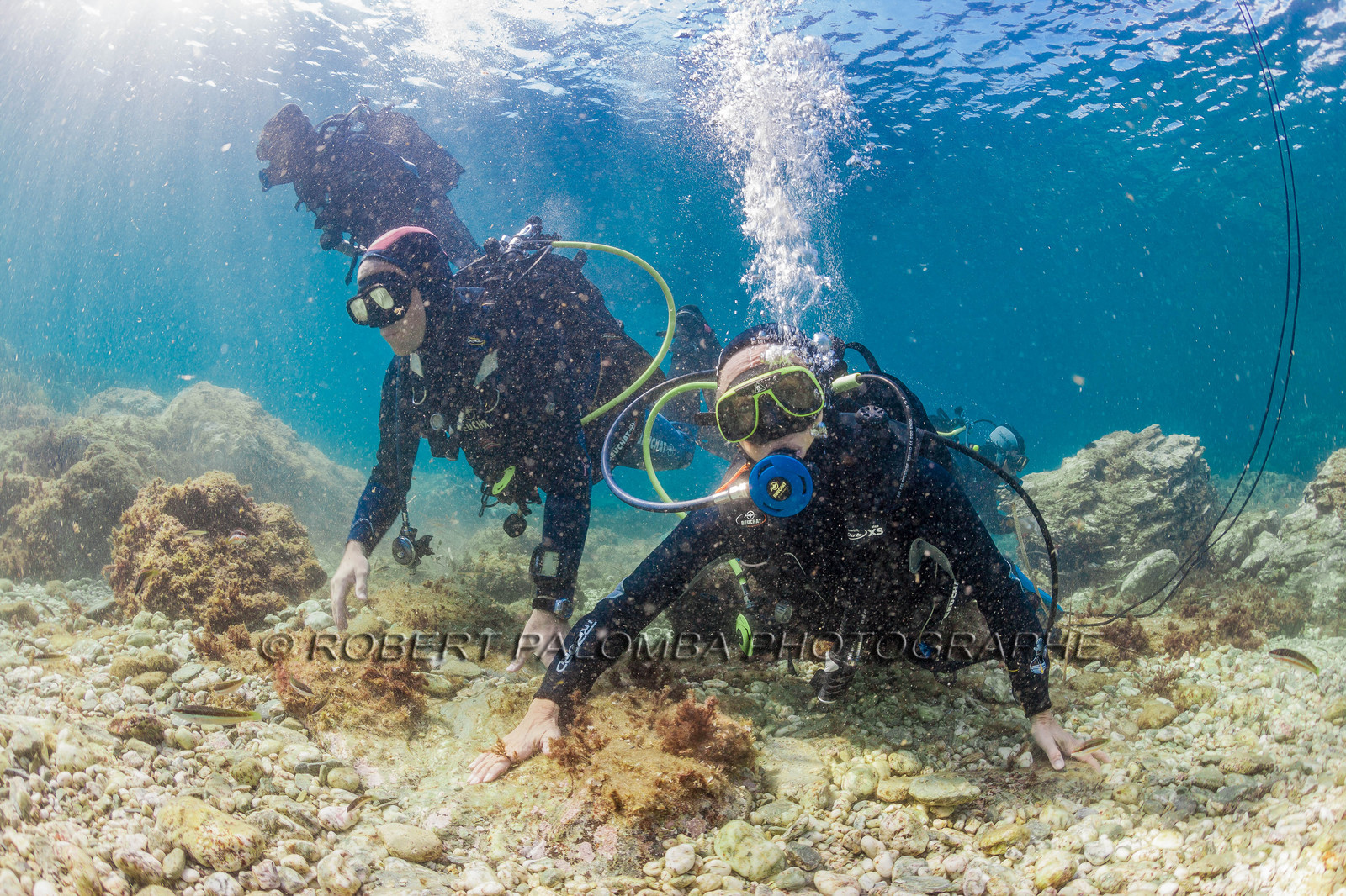 Plongée sous-marine