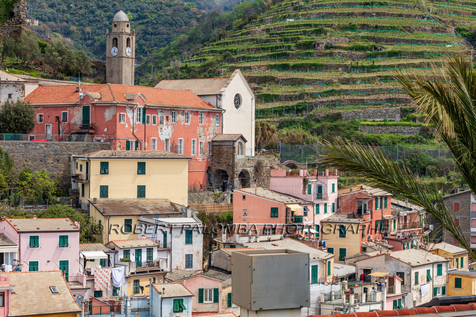 Cinque Terre