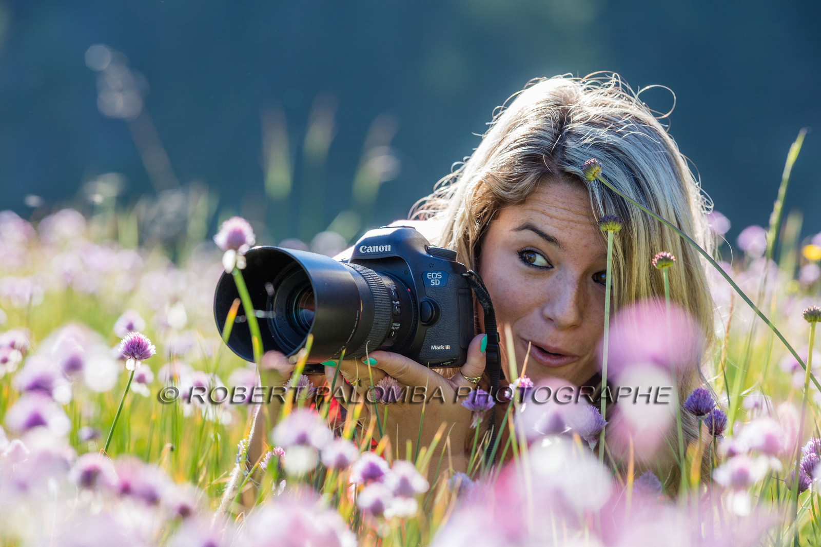 Alpes-de-Haute-Provence (04) Val d'Allos