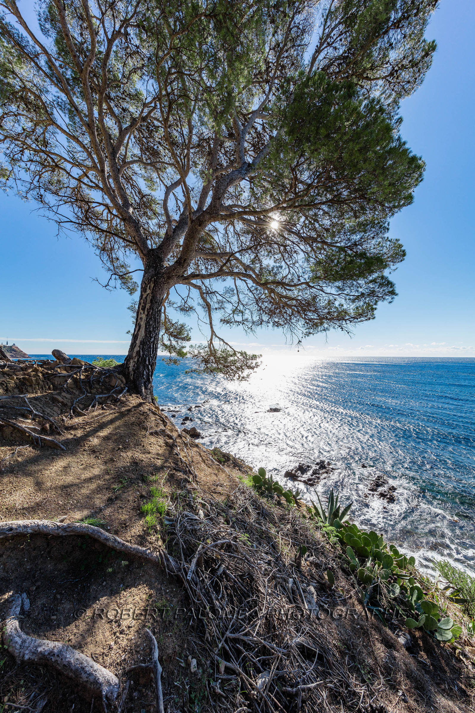 Saint-Mandrier-sur-Mer