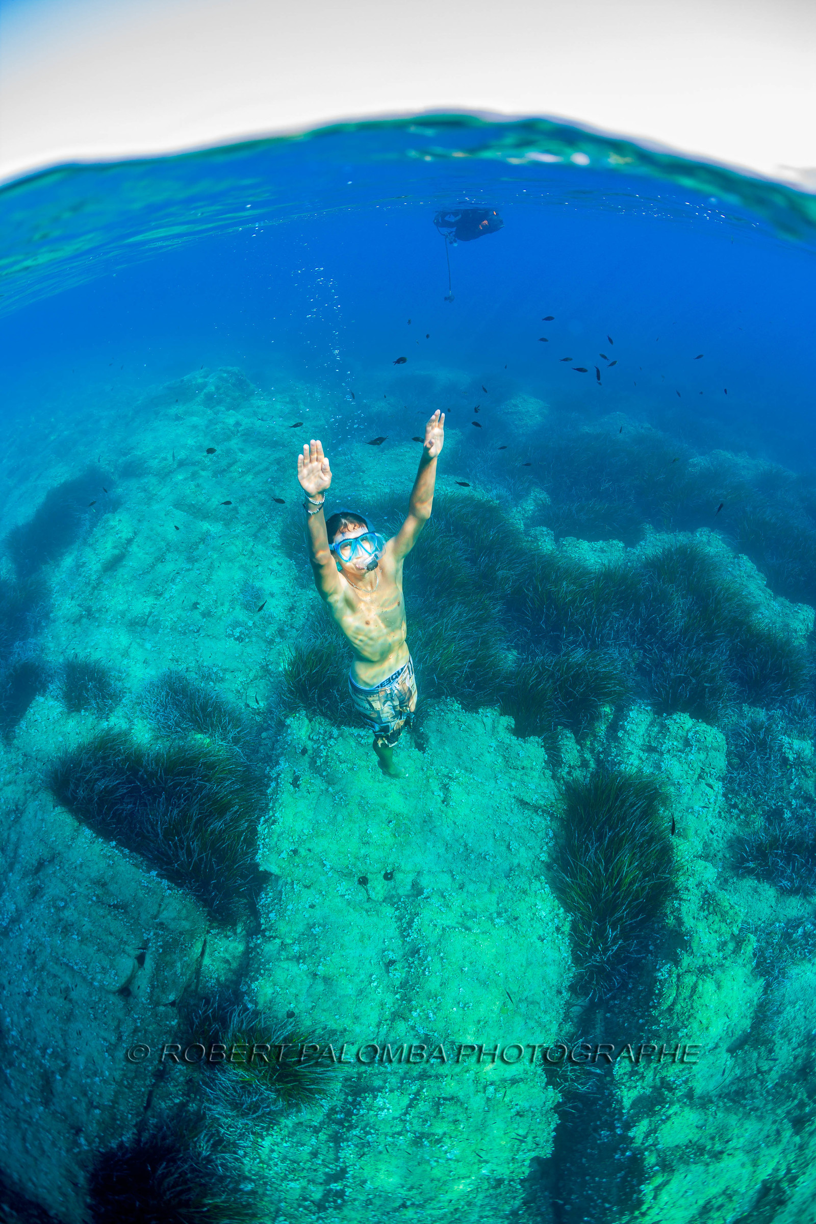 Plongée-sous-marine