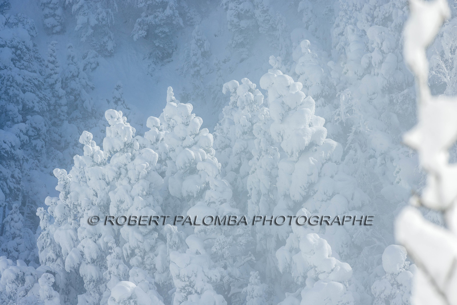 La-Colle-Saint-Michel