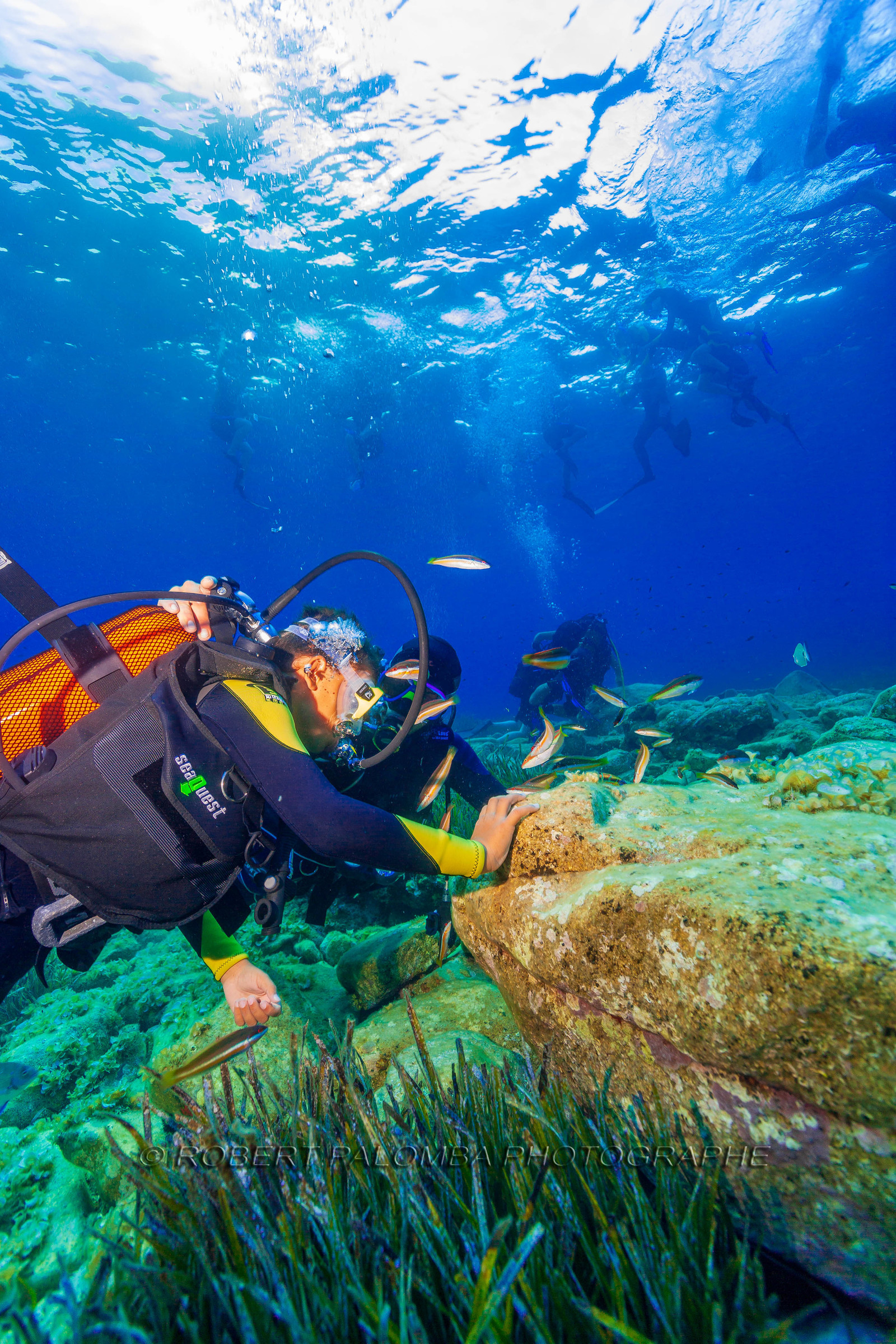 Plongée-sous-marine
