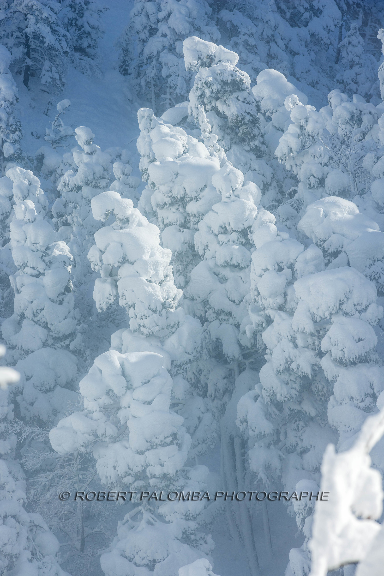 La-Colle-Saint-Michel