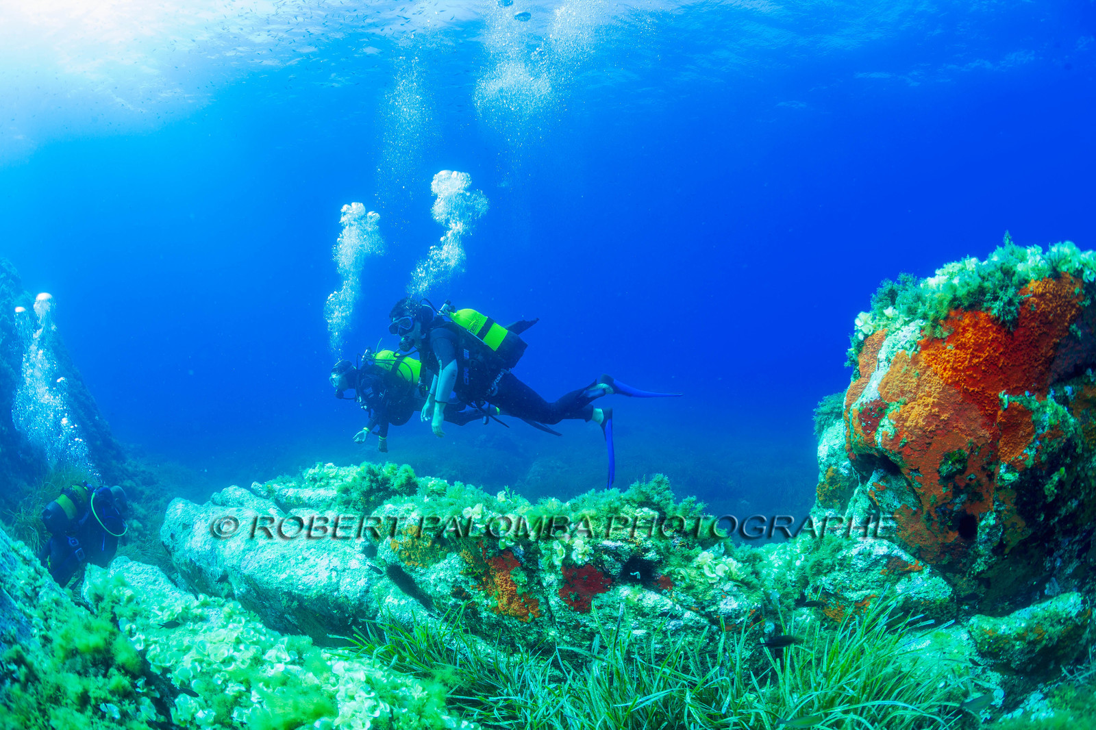 Plongée-sous-marine