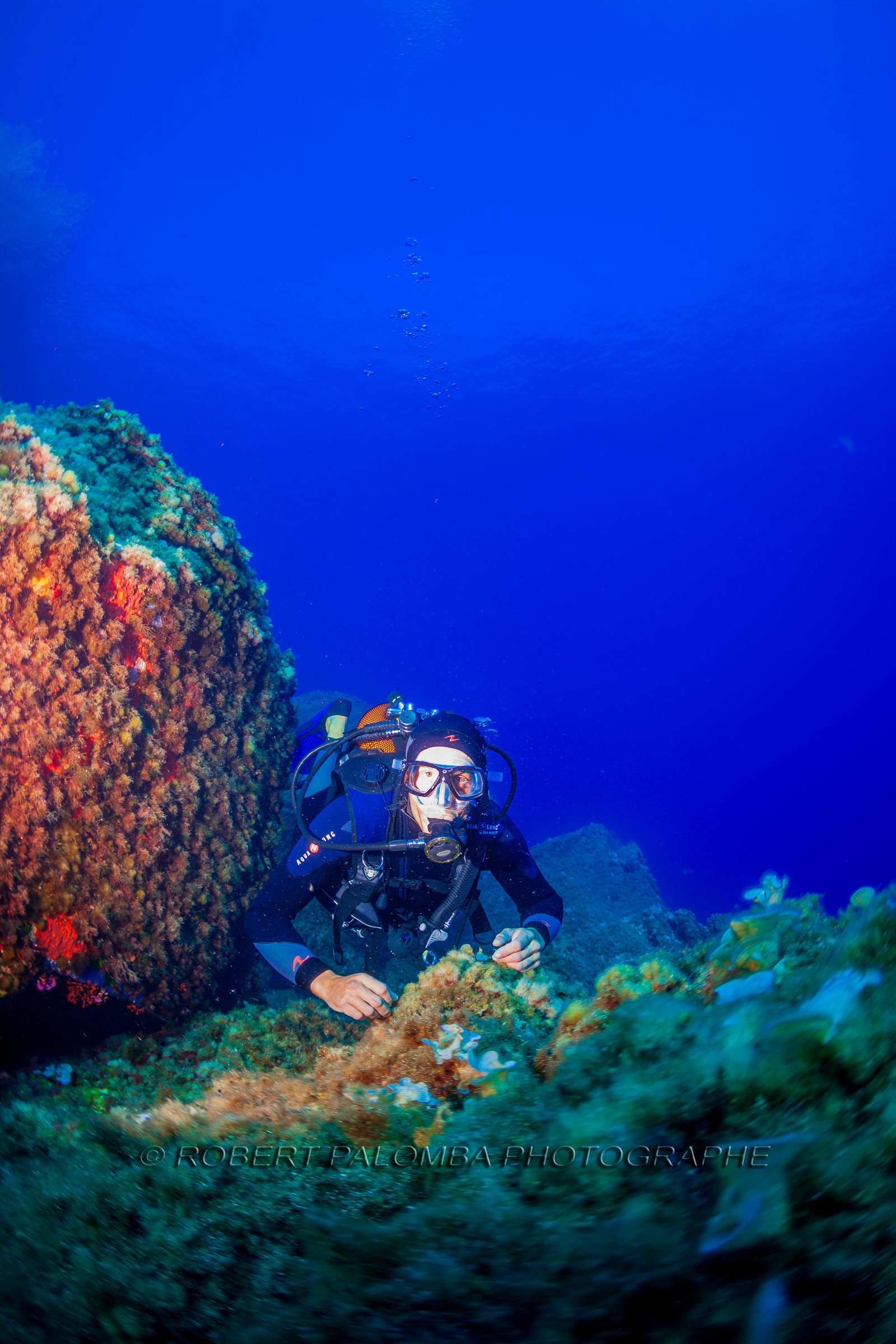 Plongée-sous-marine