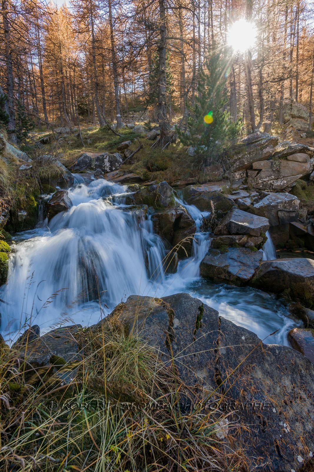 Lac d'Allos