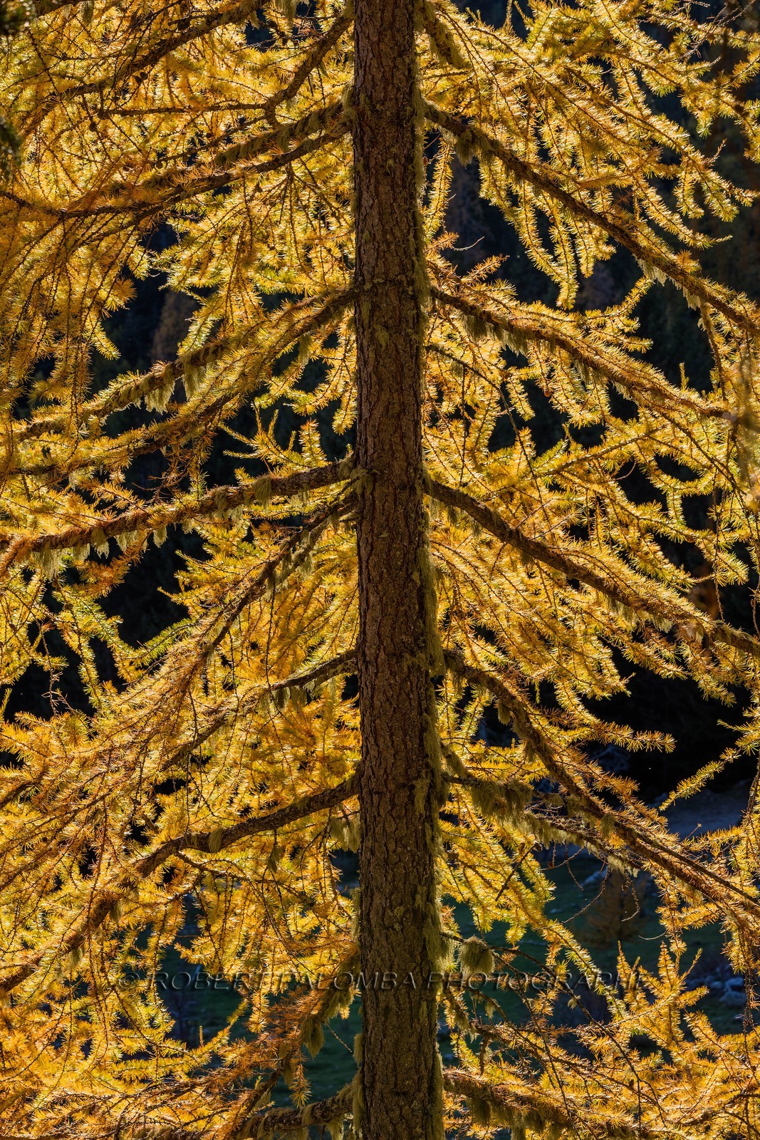 Granges de la Brasque