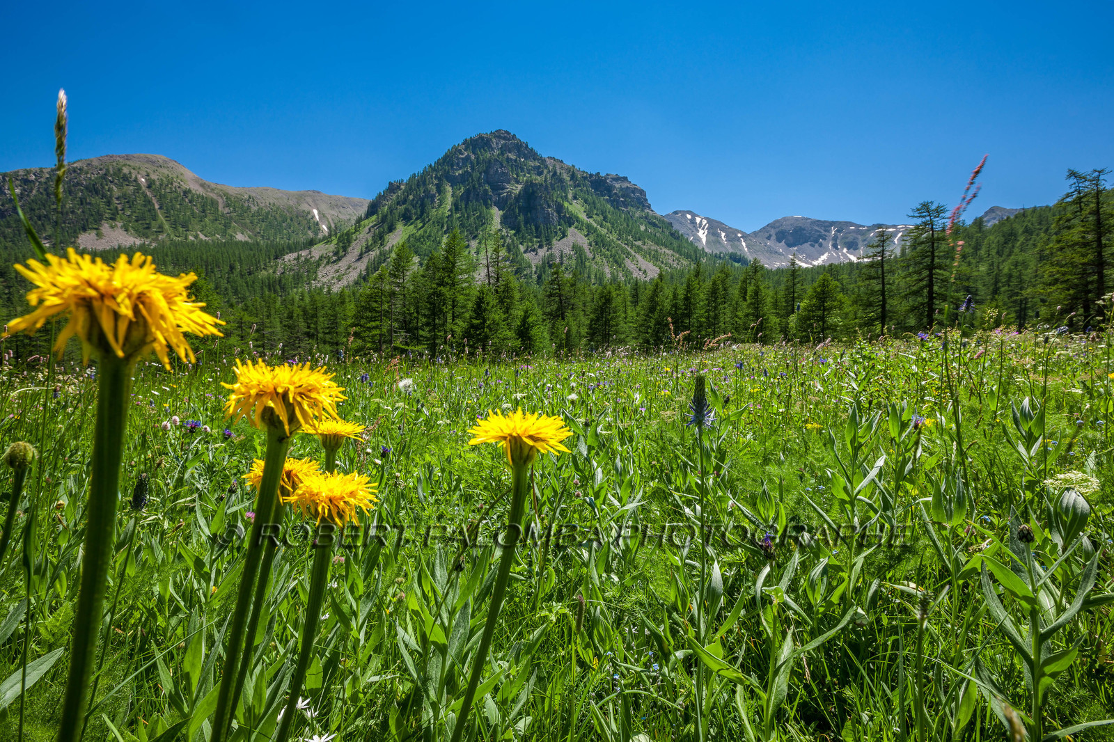 Col de la Moutière