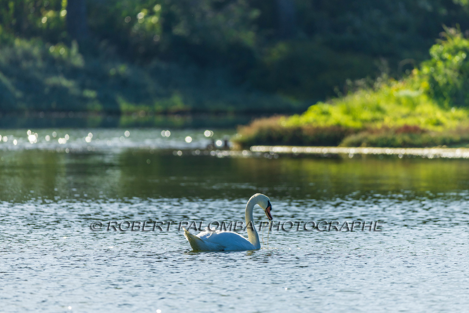Lérins Sainte-Marguerite