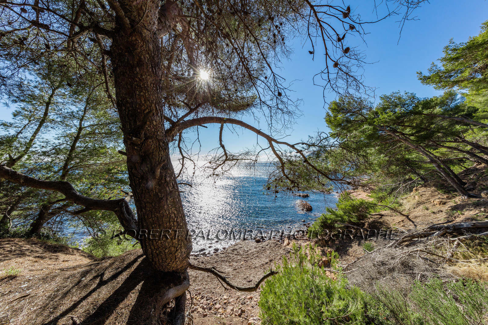 Saint-Mandrier-sur-Mer