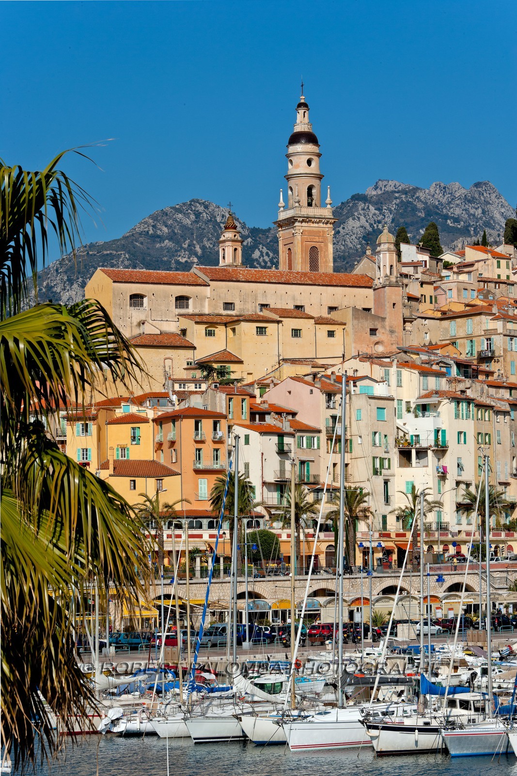 Menton