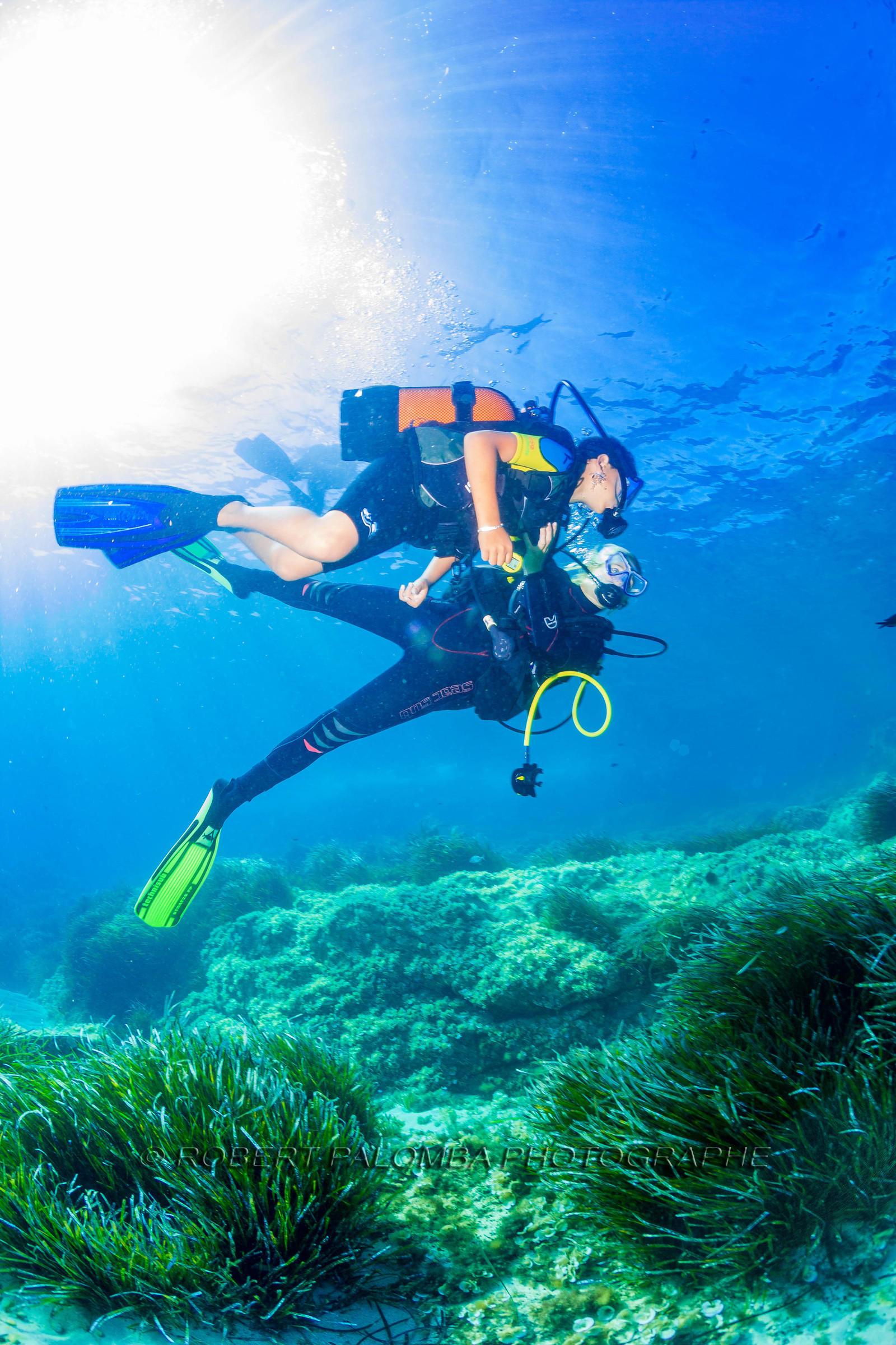 Plongée-sous-marine