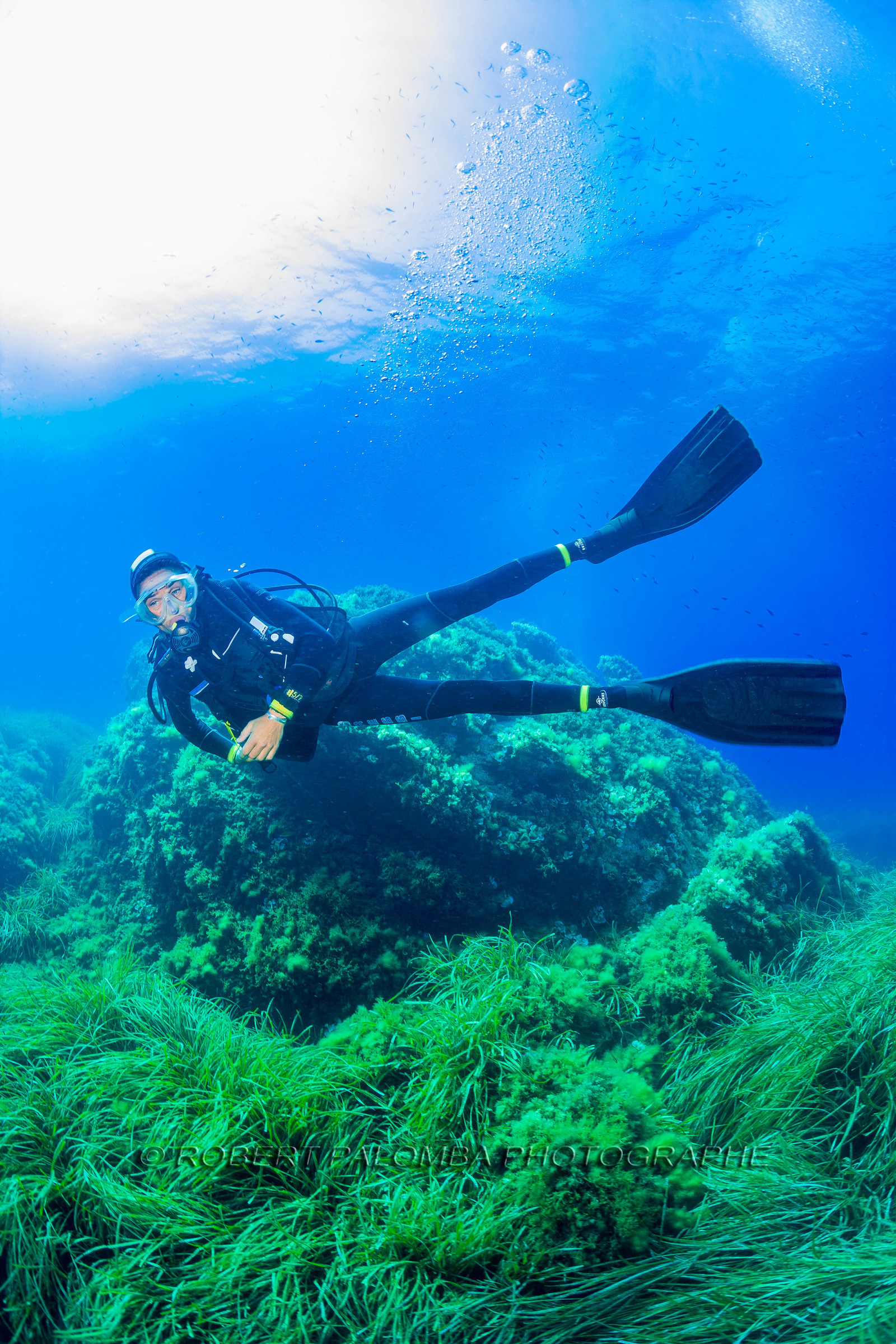 Plongée-sous-marine