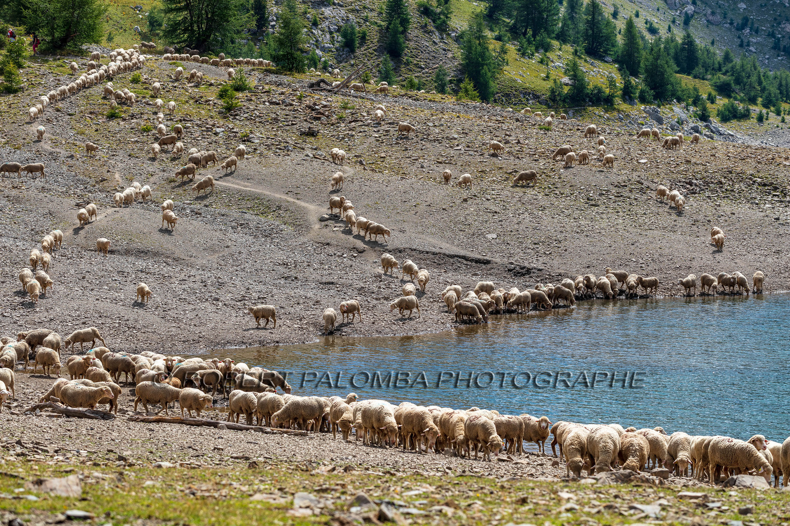 Lac d'Allos