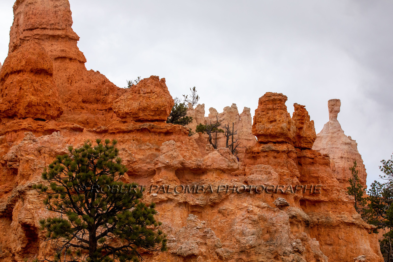 Bryce Canyon