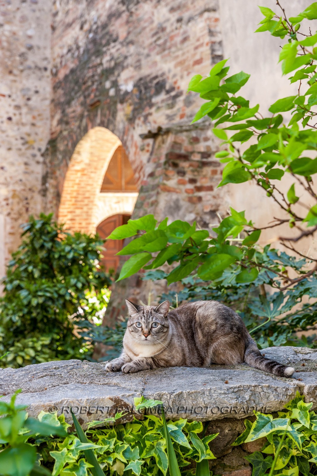 Saint-Laurent-du-Var