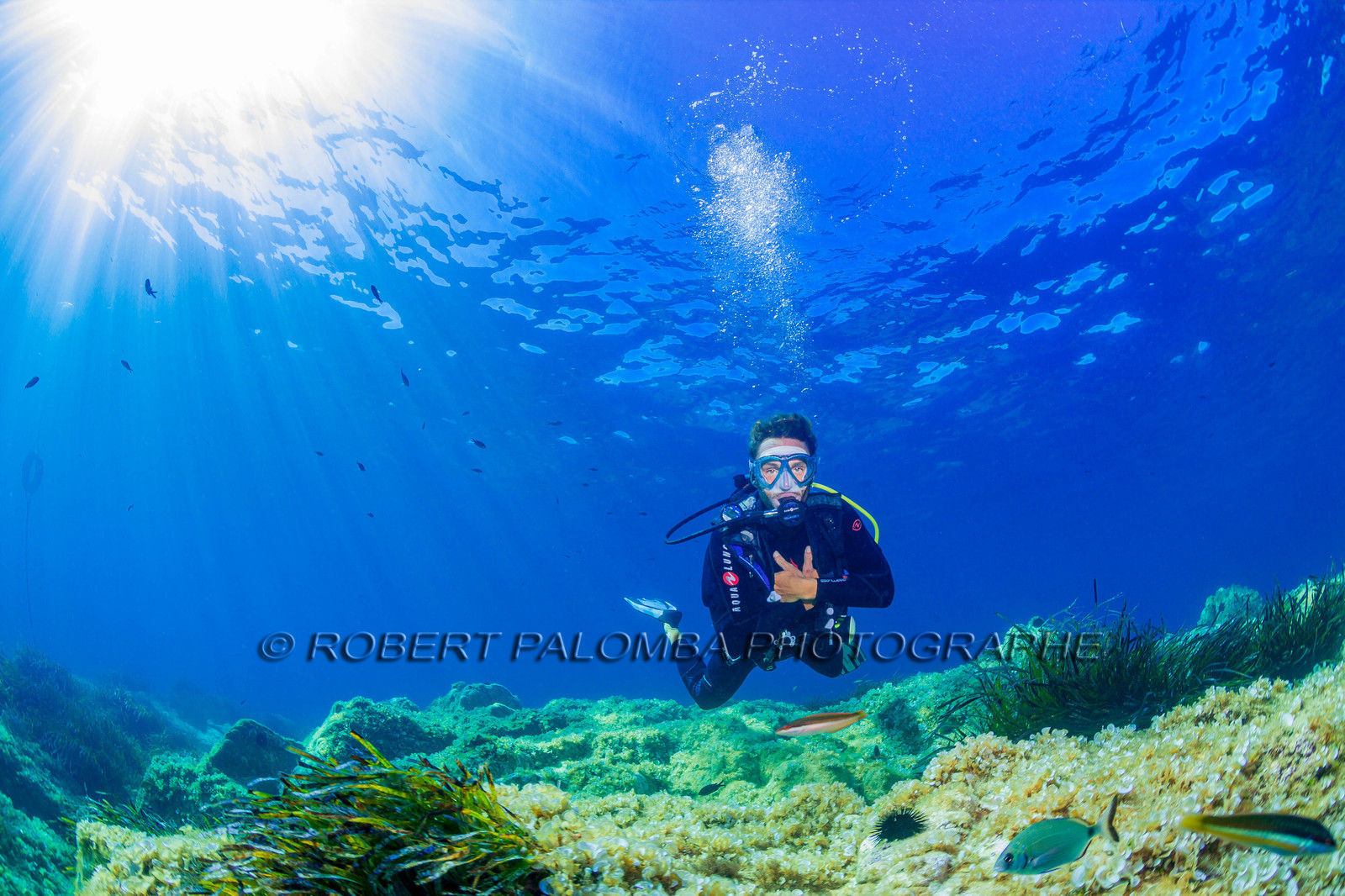 Plongée-sous-marine