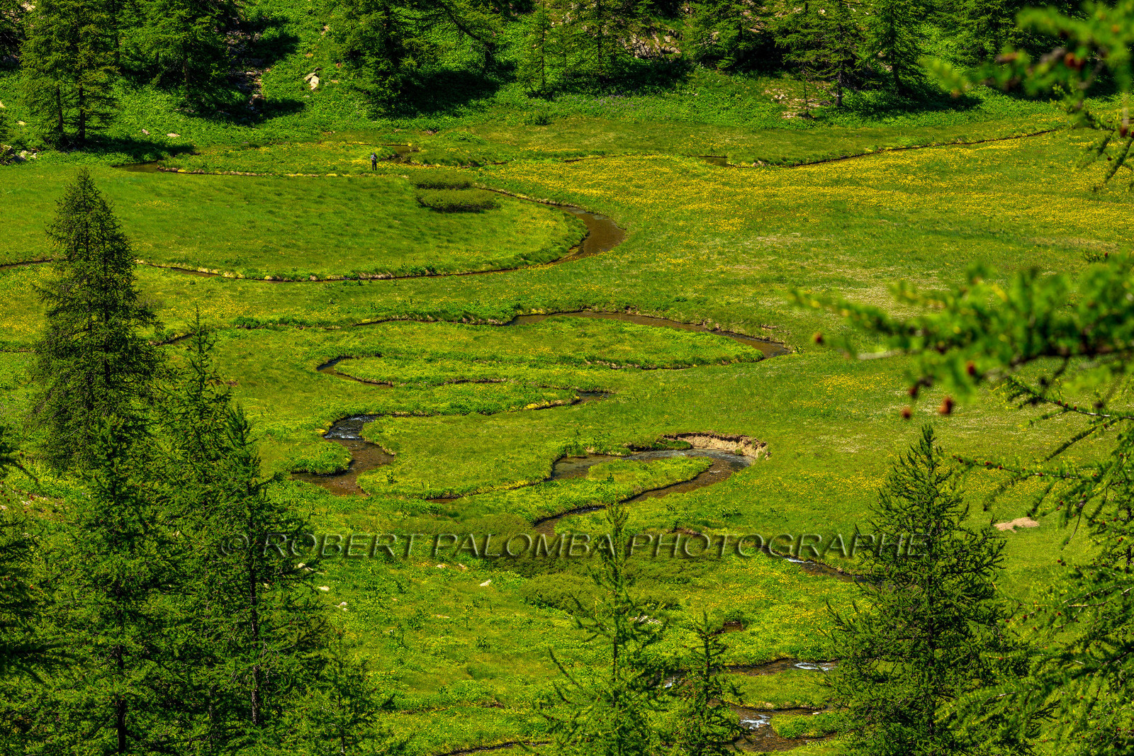 Lac d'Allos