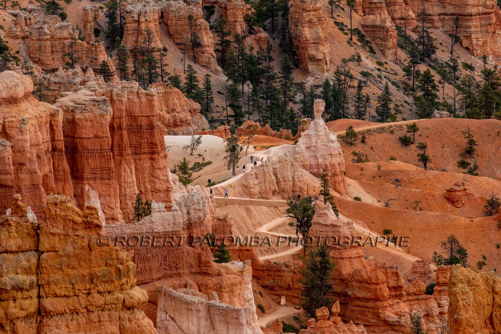 Bryce Canyon