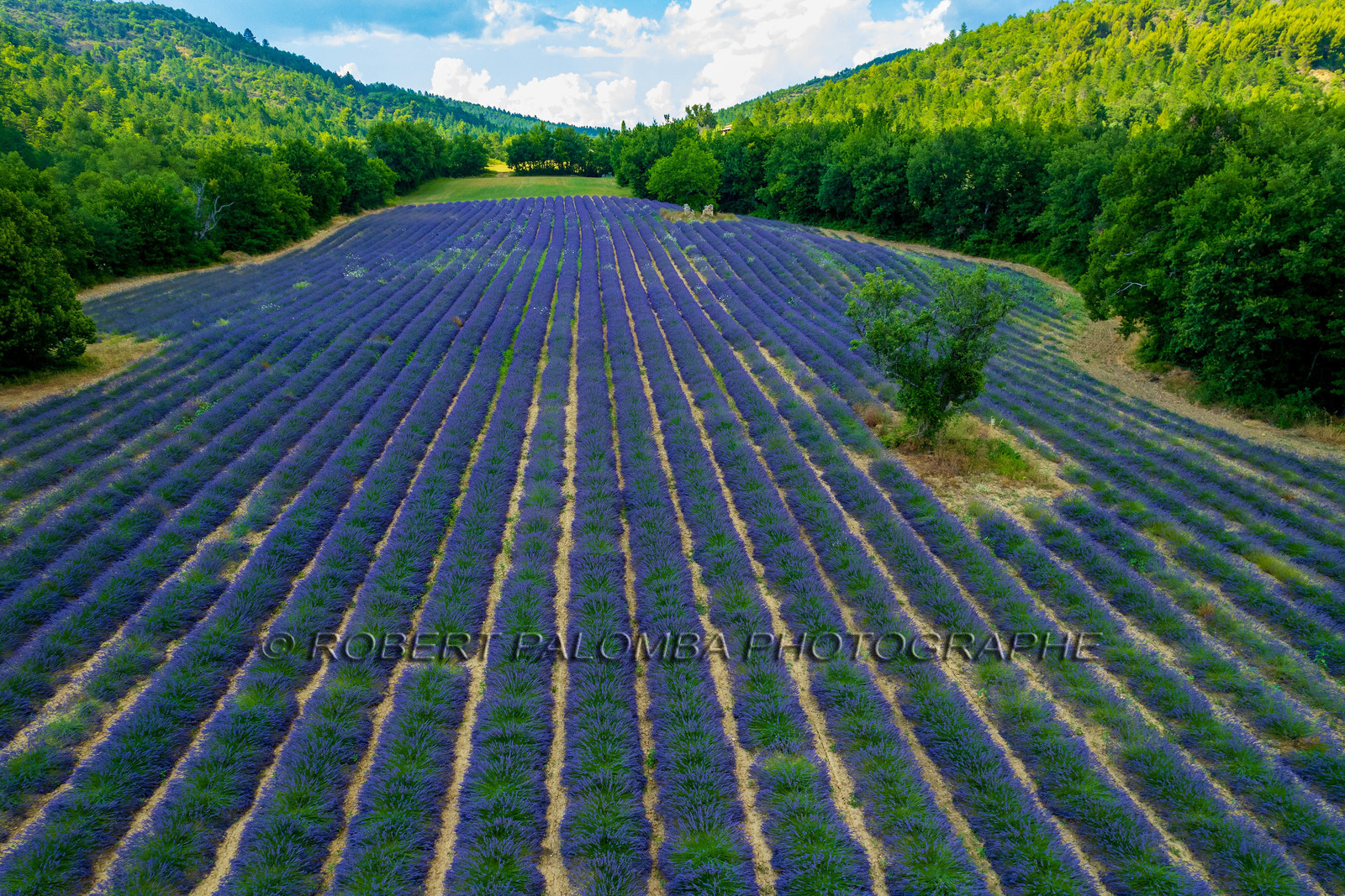 Le Chaffaut-Saint-Jurson