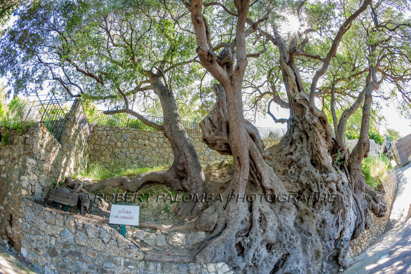 Roquebrune-Cap-Martin