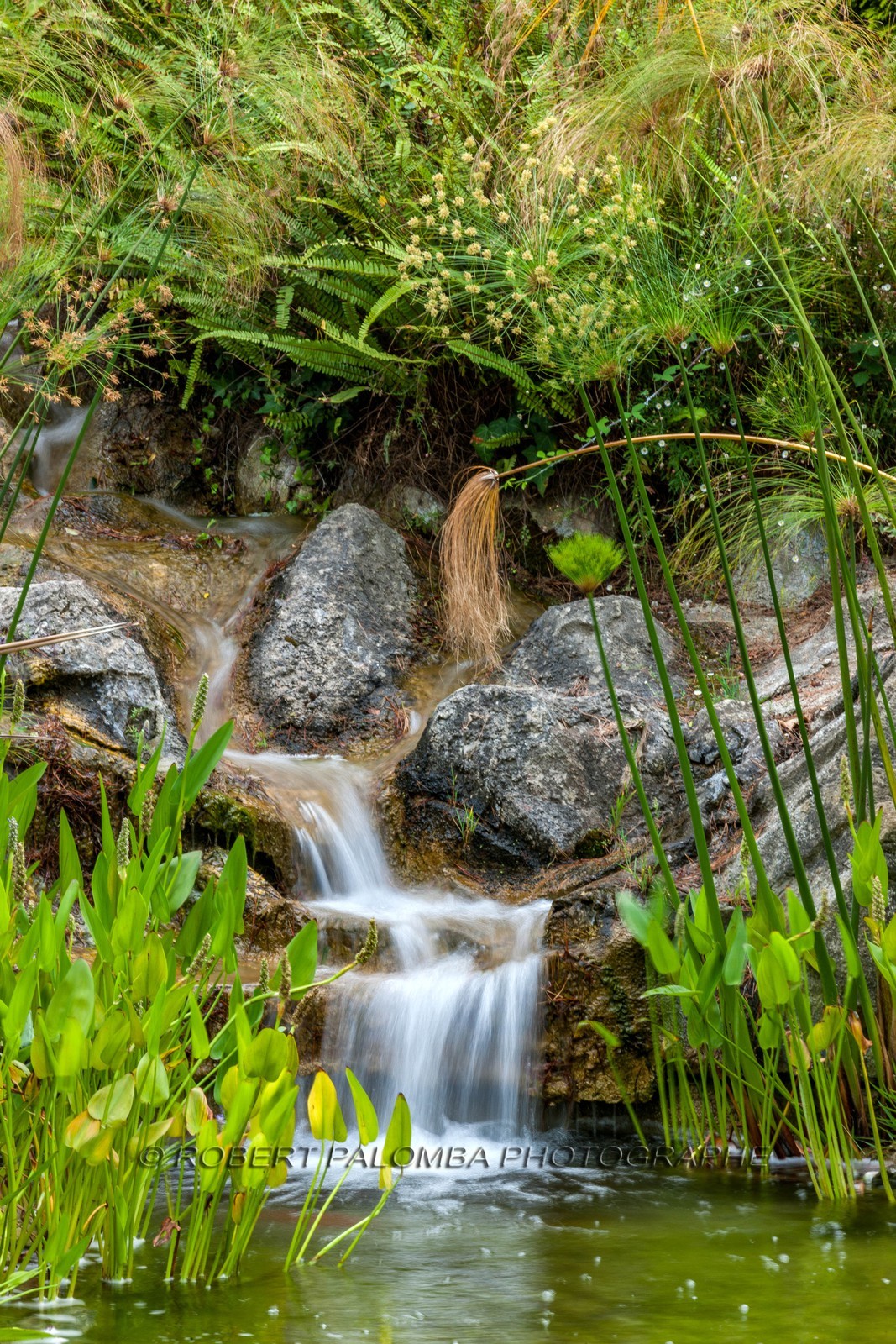 Saint-Jean-Cap-Ferrat