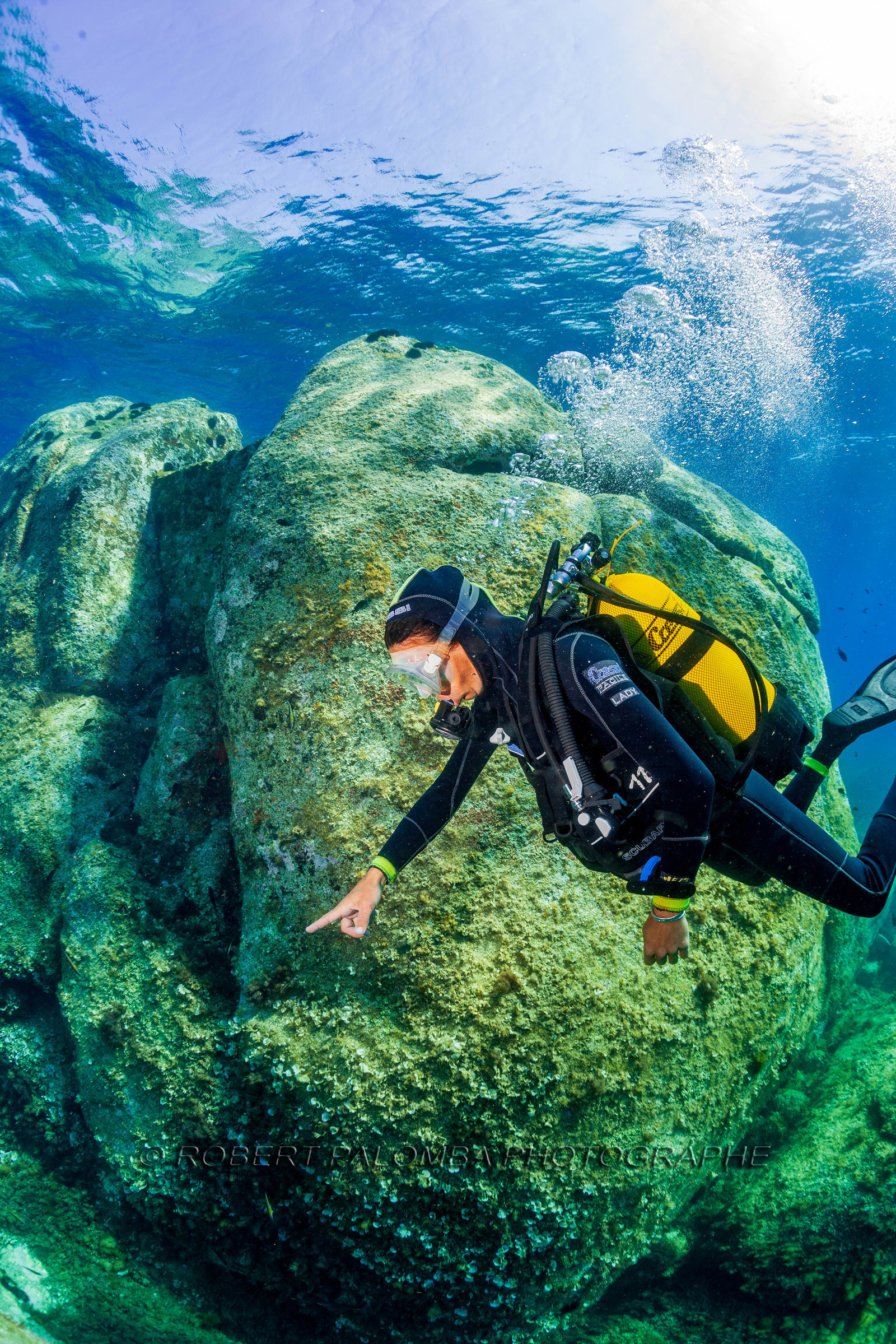 Plongée-sous-marine