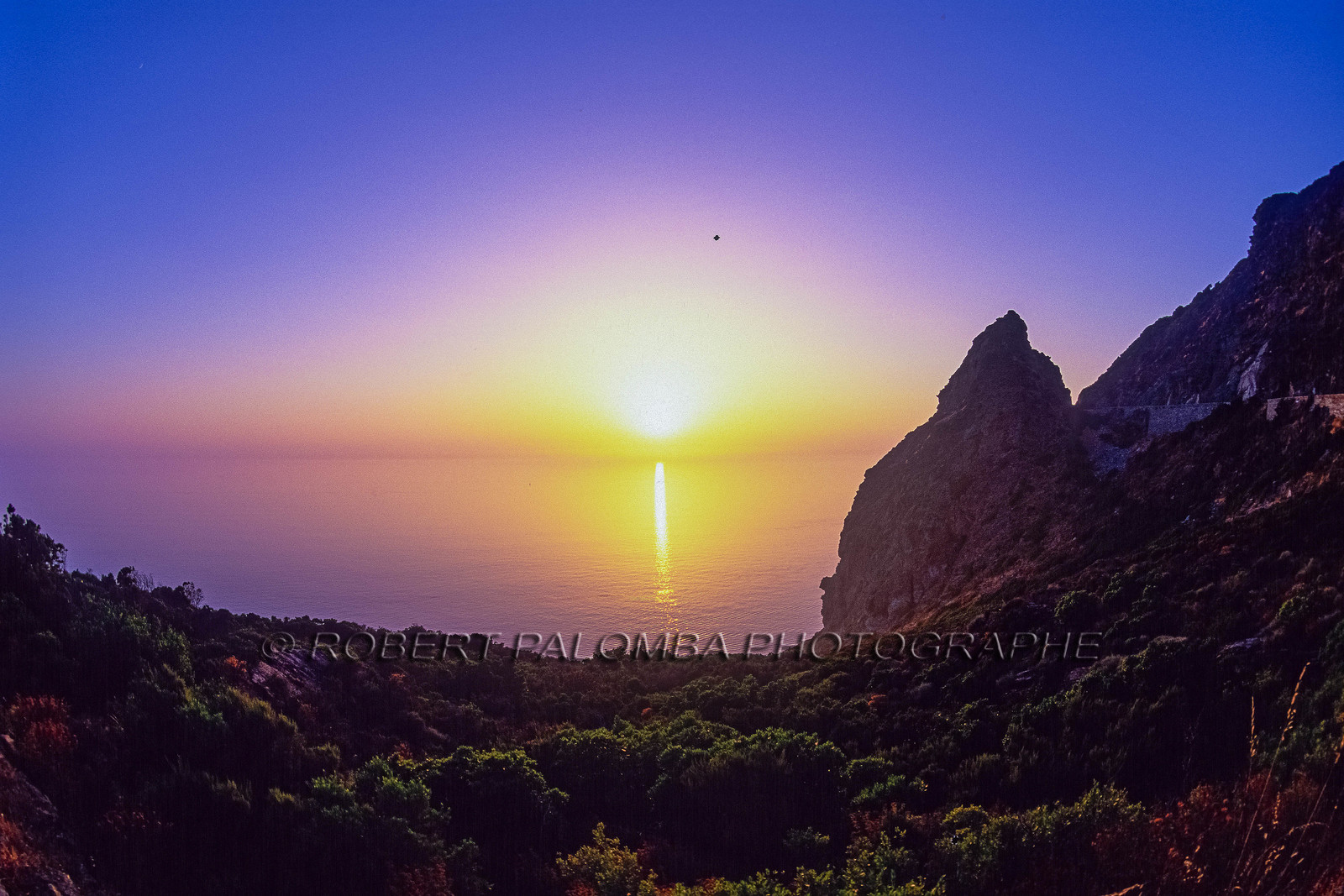 Haute-Corse (2B) Minerviu