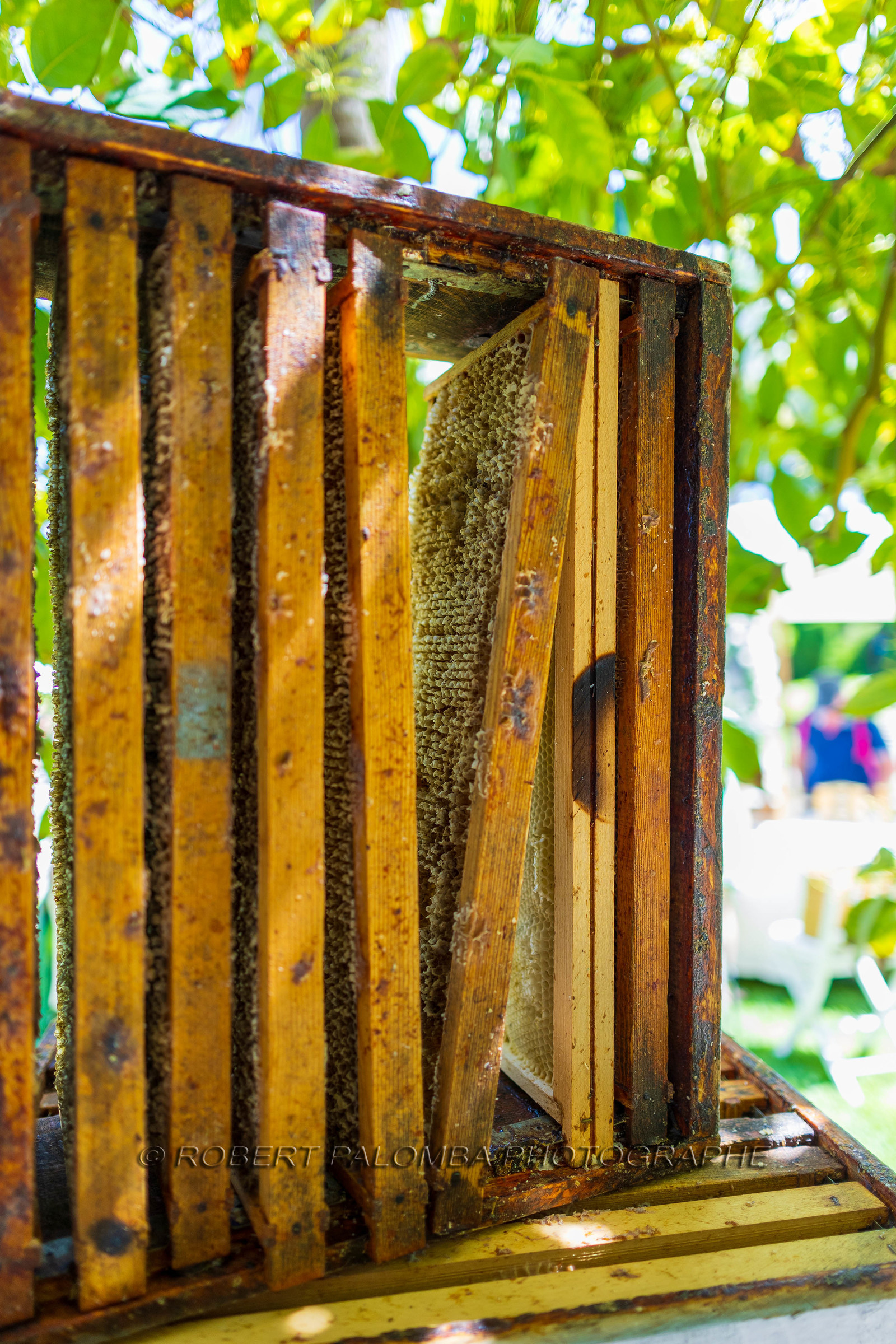 Saint-Jean-Cap-Ferrat