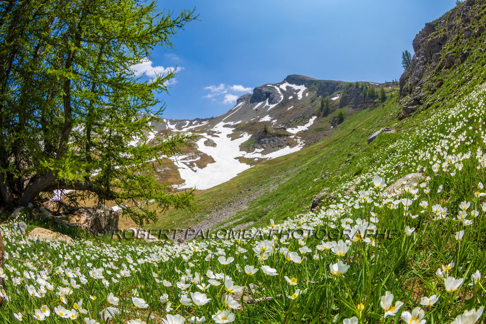Lac d'Allos