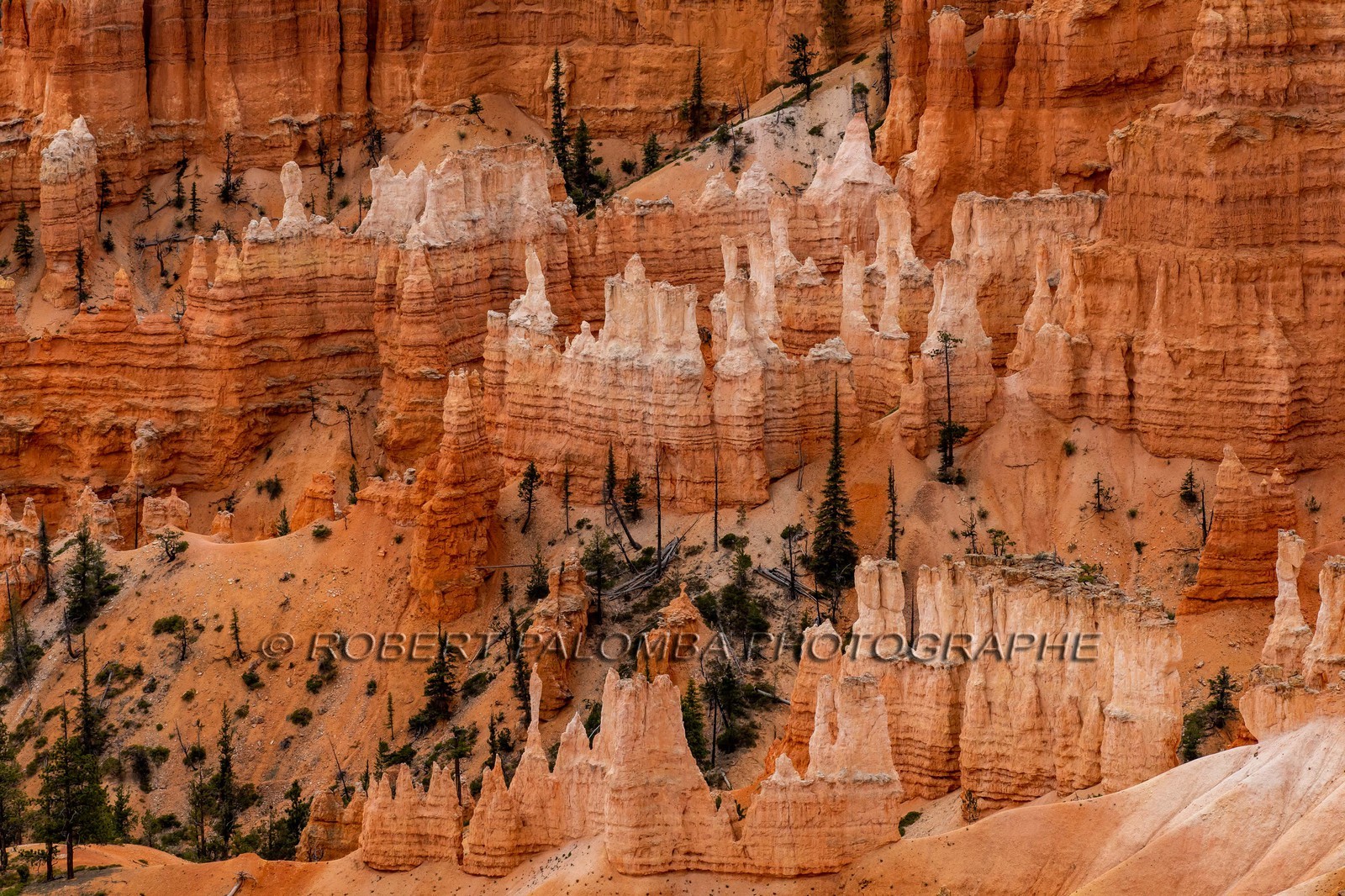 Bryce Canyon