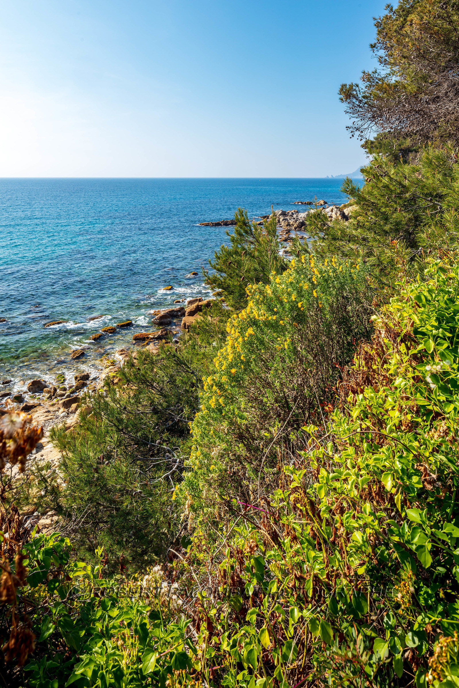 Saint-Mandrier-sur-Mer