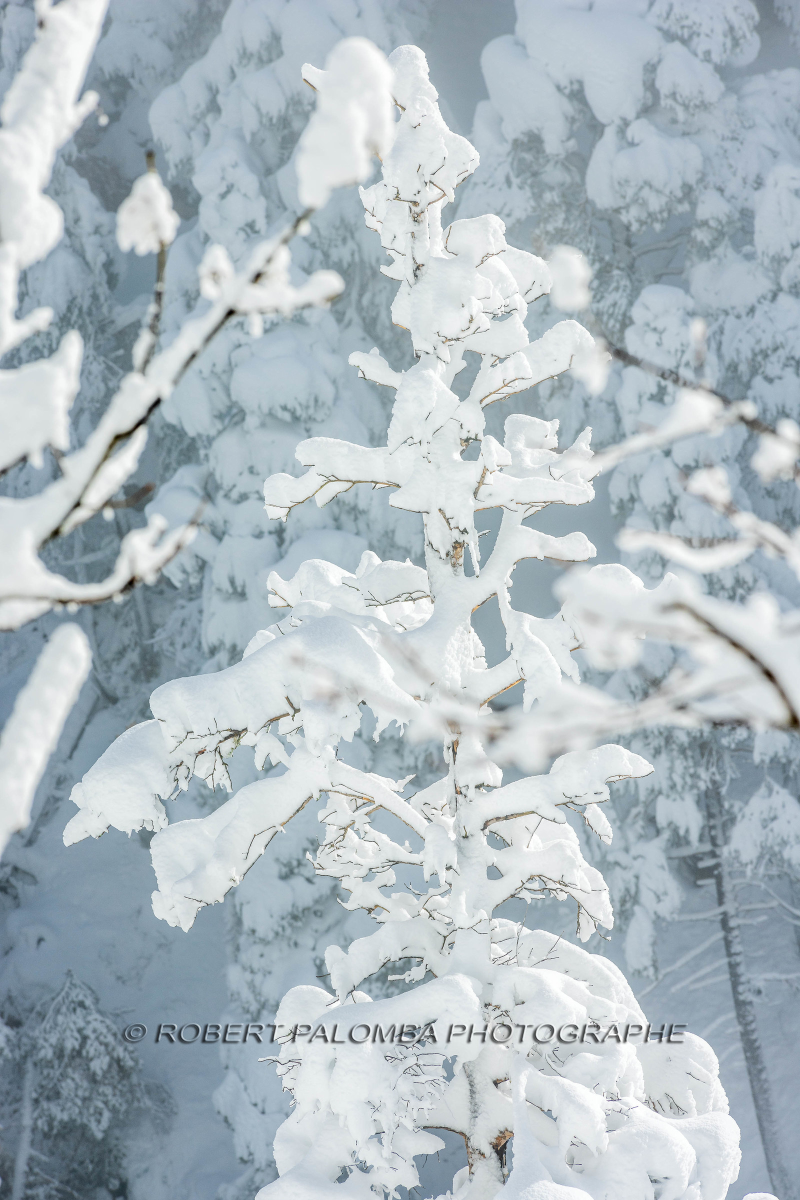 La-Colle-Saint-Michel