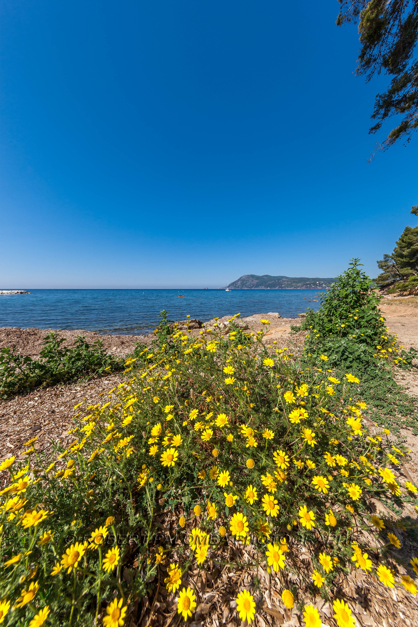 Saint-Mandrier-sur-Mer