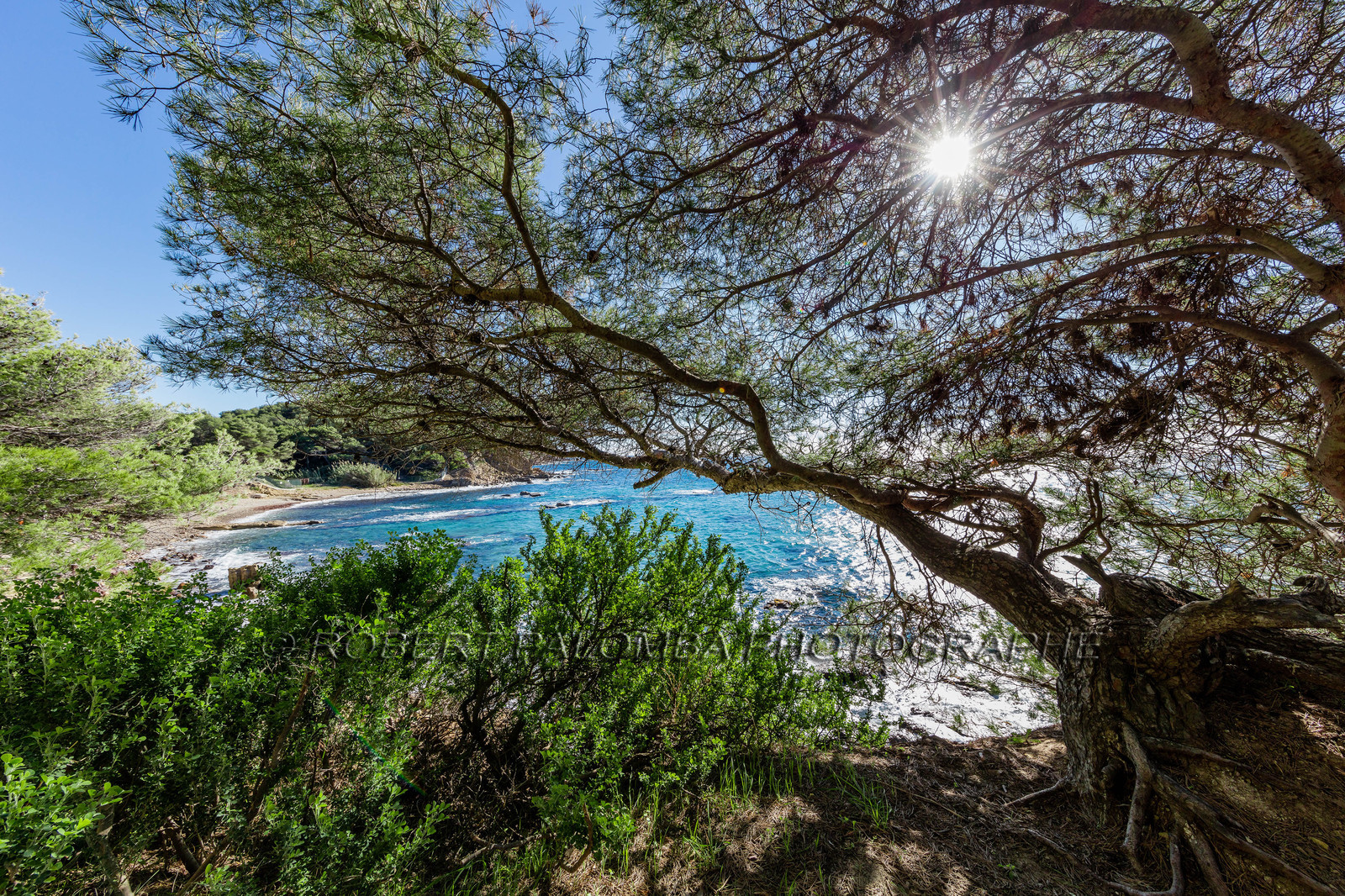 Saint-Mandrier-sur-Mer