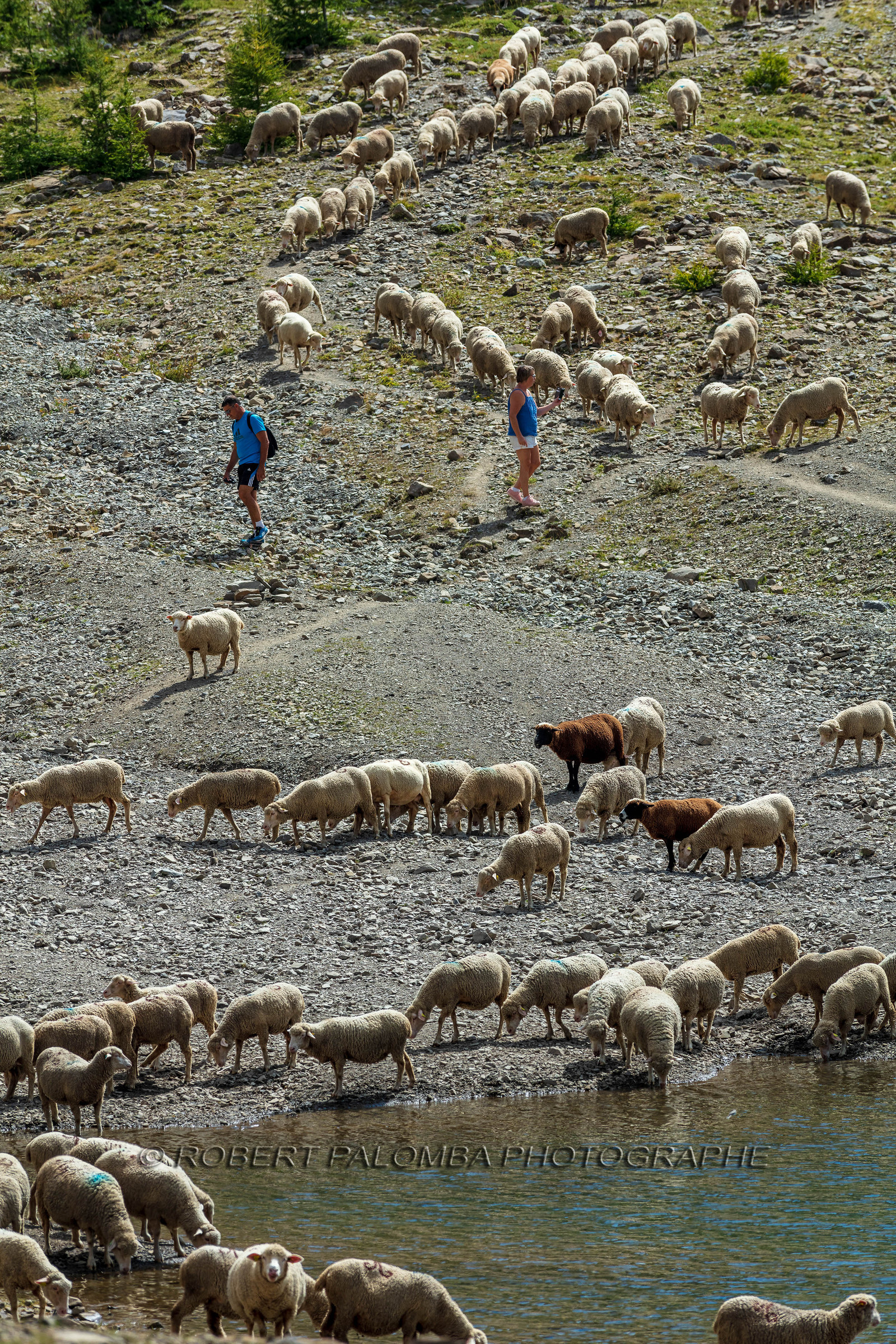 Lac d'Allos