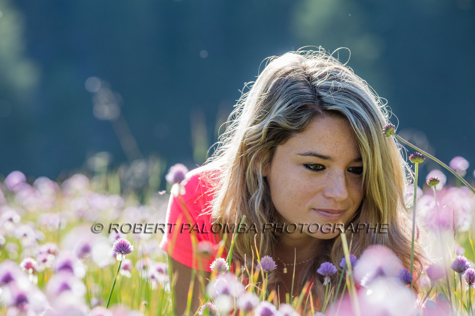 Alpes-de-Haute-Provence (04) Val d'Allos