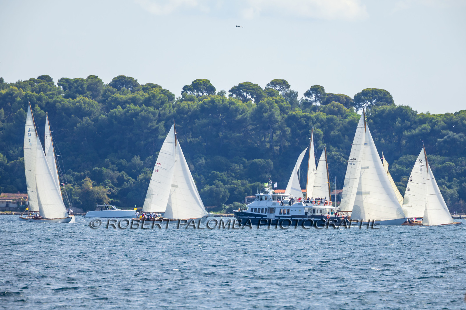 Régates Royales