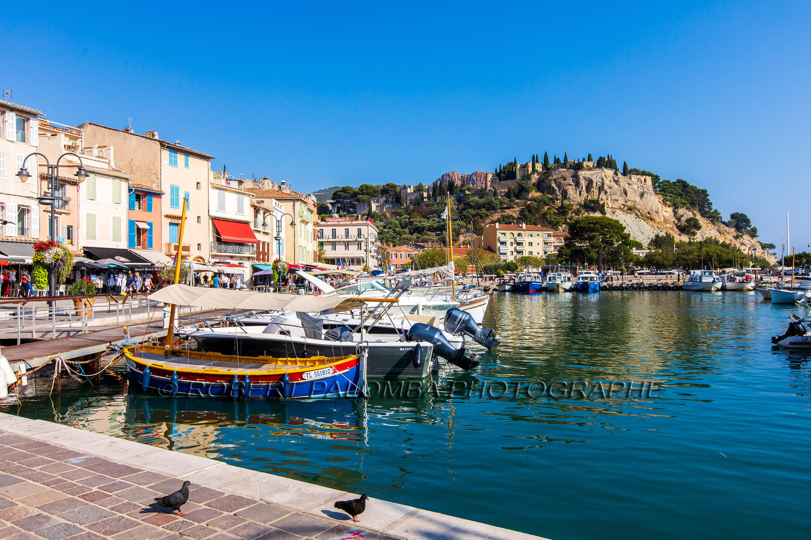 Cassis