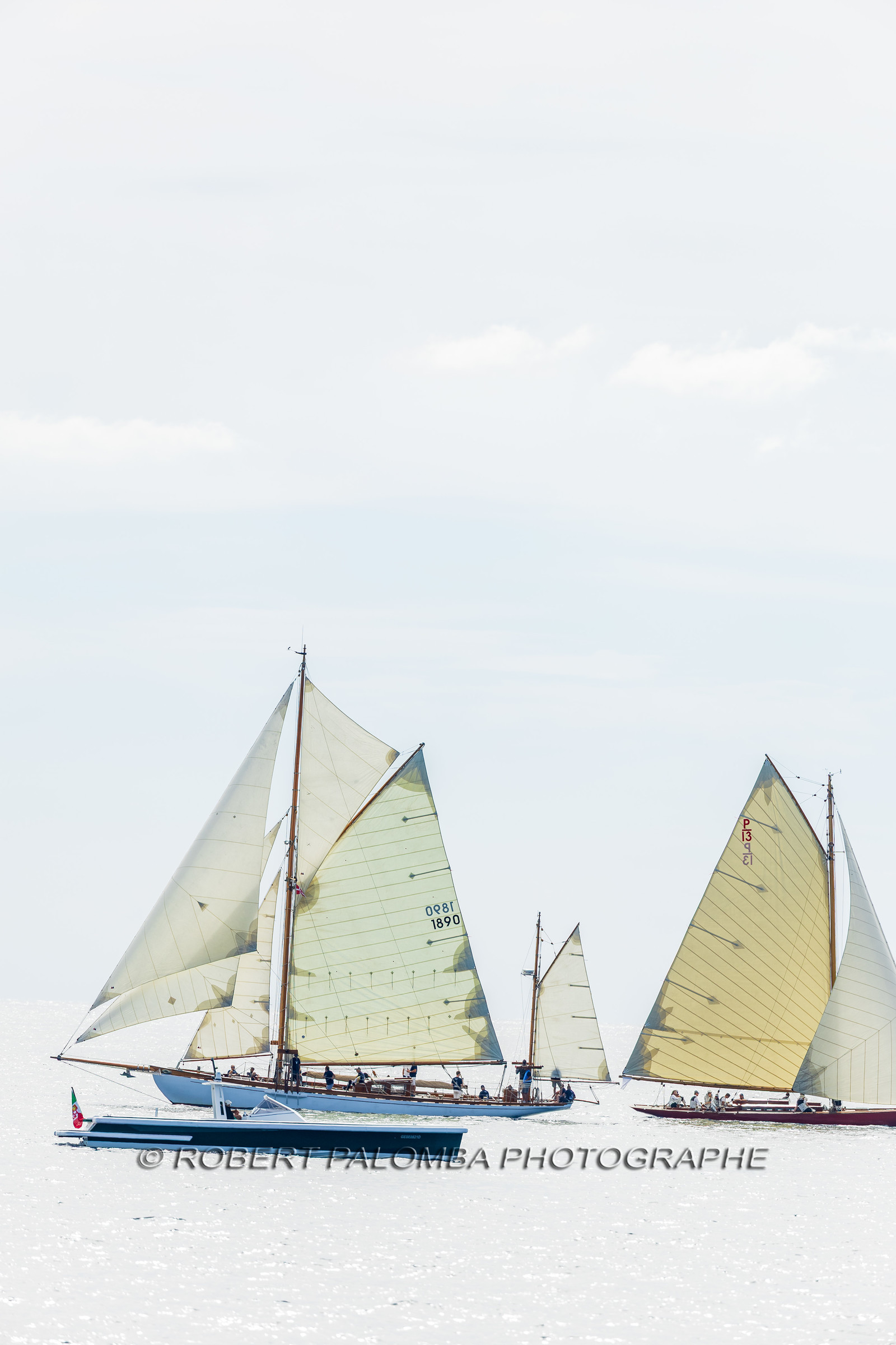 Régates Royales