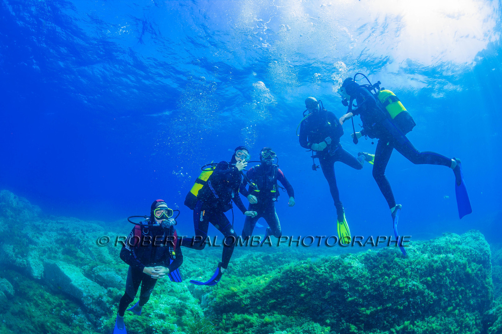 Plongée-sous-marine