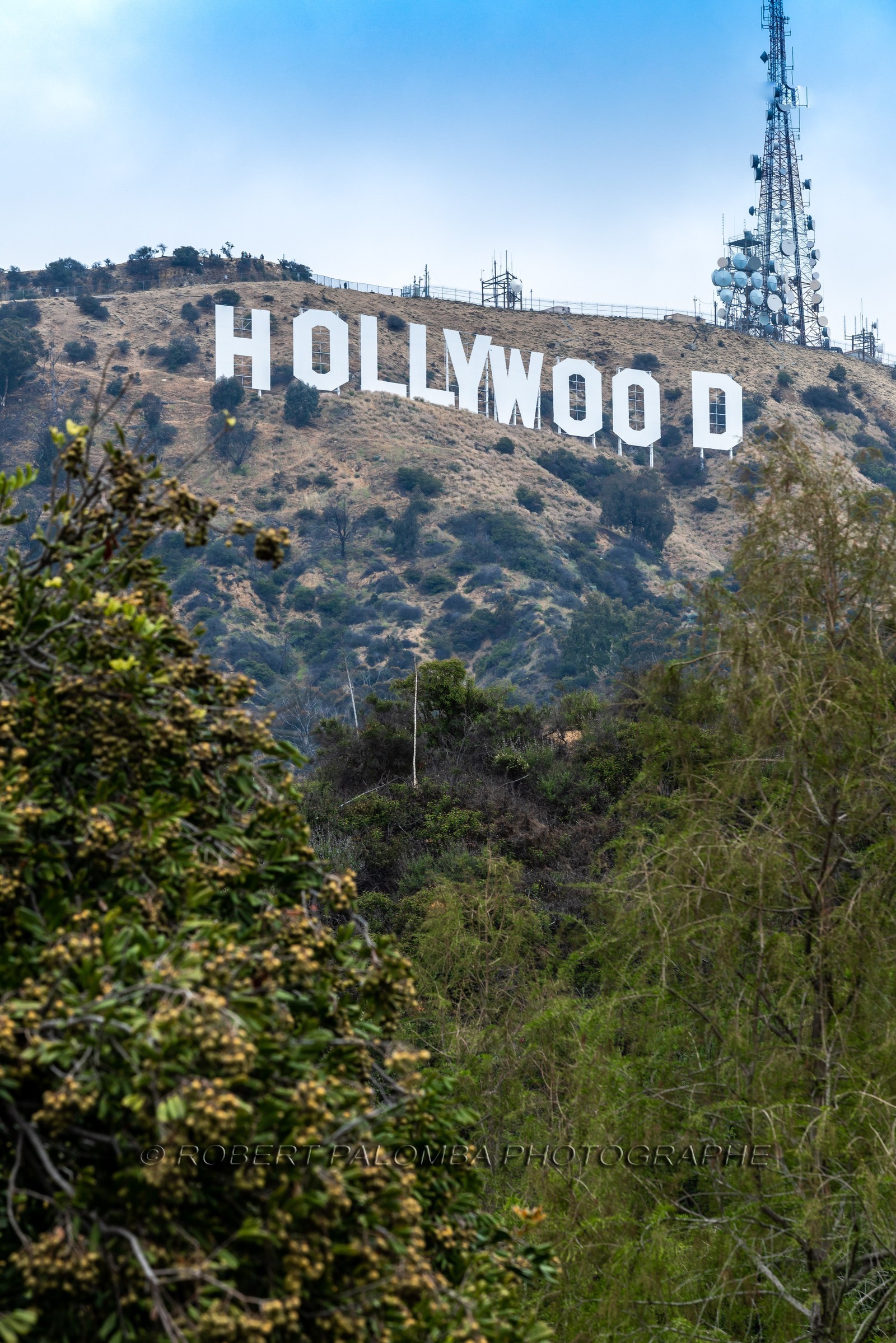 Etats-Unis, Californie, Los Angeles, Hollywood Sign