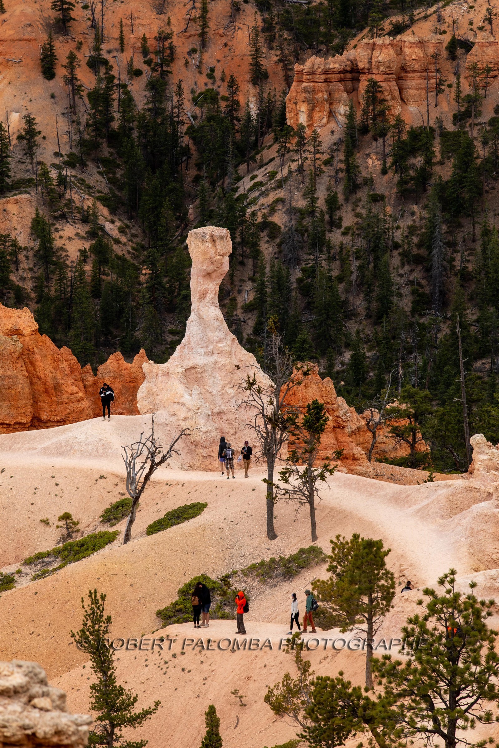 Bryce Canyon
