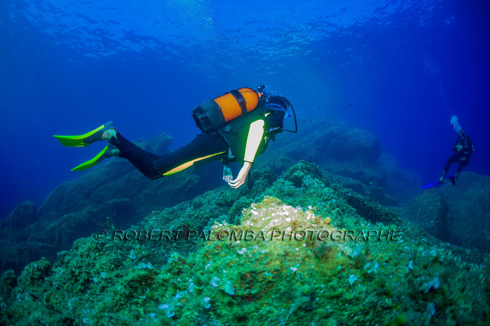 Plongée-sous-marine