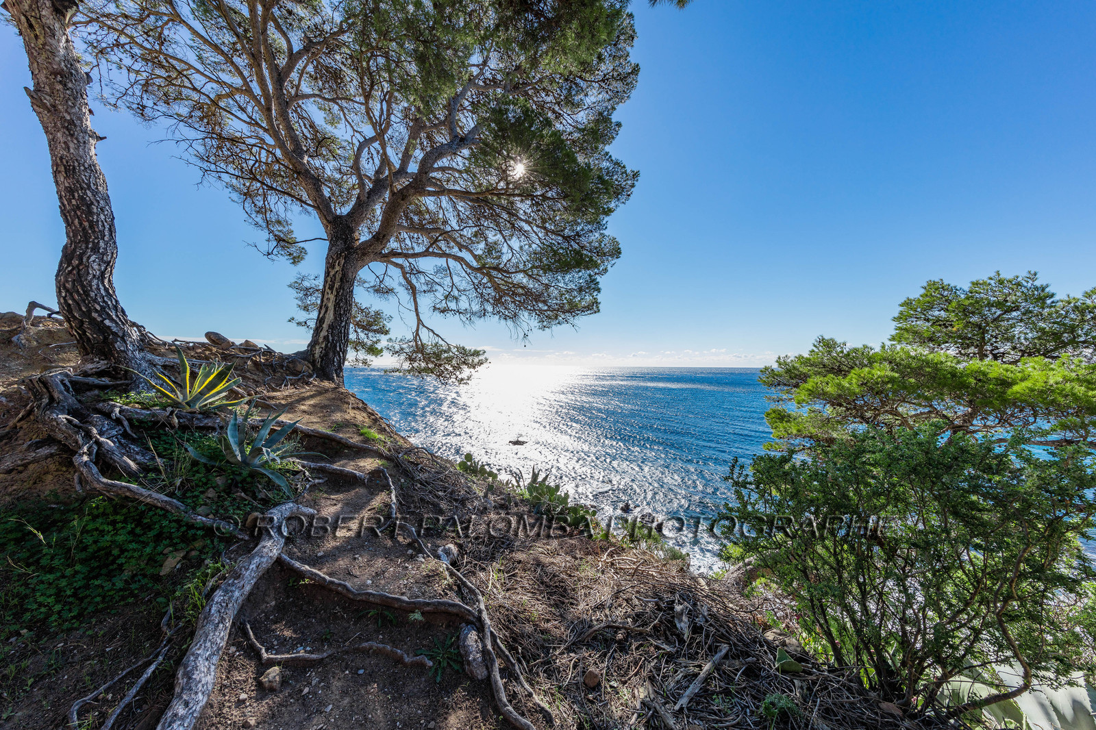 Saint-Mandrier-sur-Mer